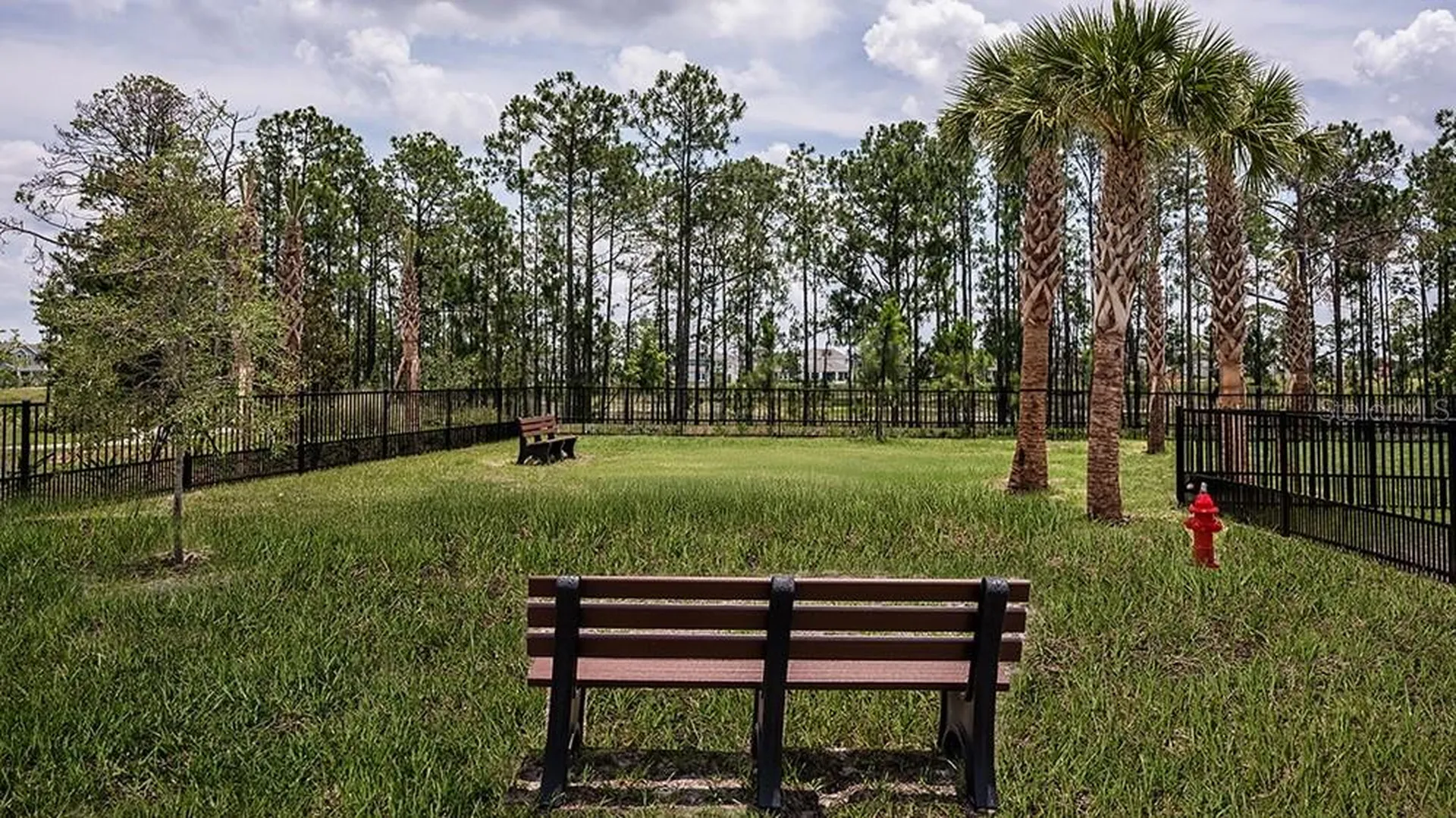 14784 Field Daisy Drive Winter Garden FL 34787