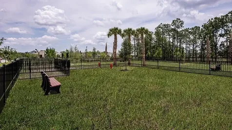 14784 Field Daisy Drive Winter Garden FL 34787
