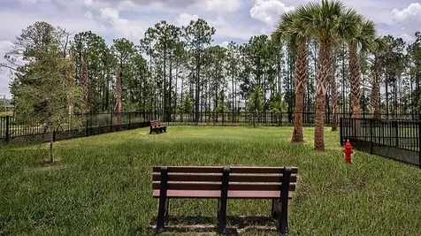 14784 Field Daisy Drive Winter Garden FL 34787