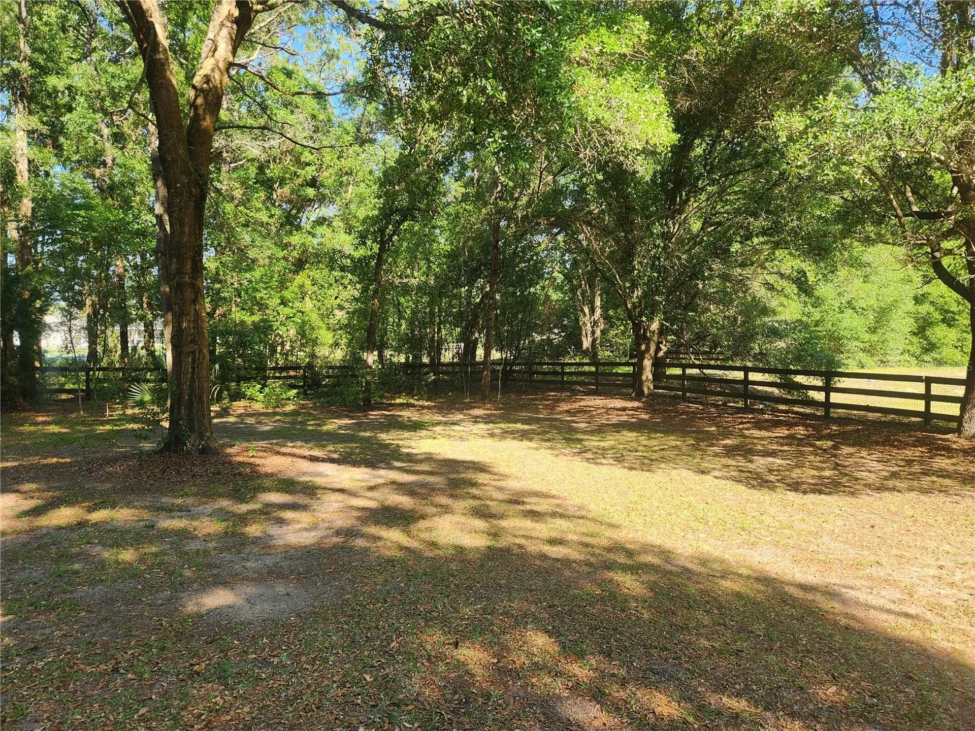 10120 SW 65th Terrace Ocala FL 34476
