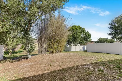 345 Red Kite Drive Groveland FL 34736