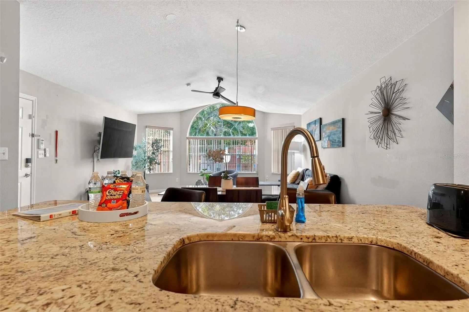 8718 Rain Forest Place Kissimmee FL 34747