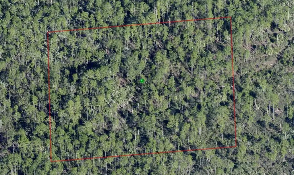 Lake Harney Road Osteen FL 32764