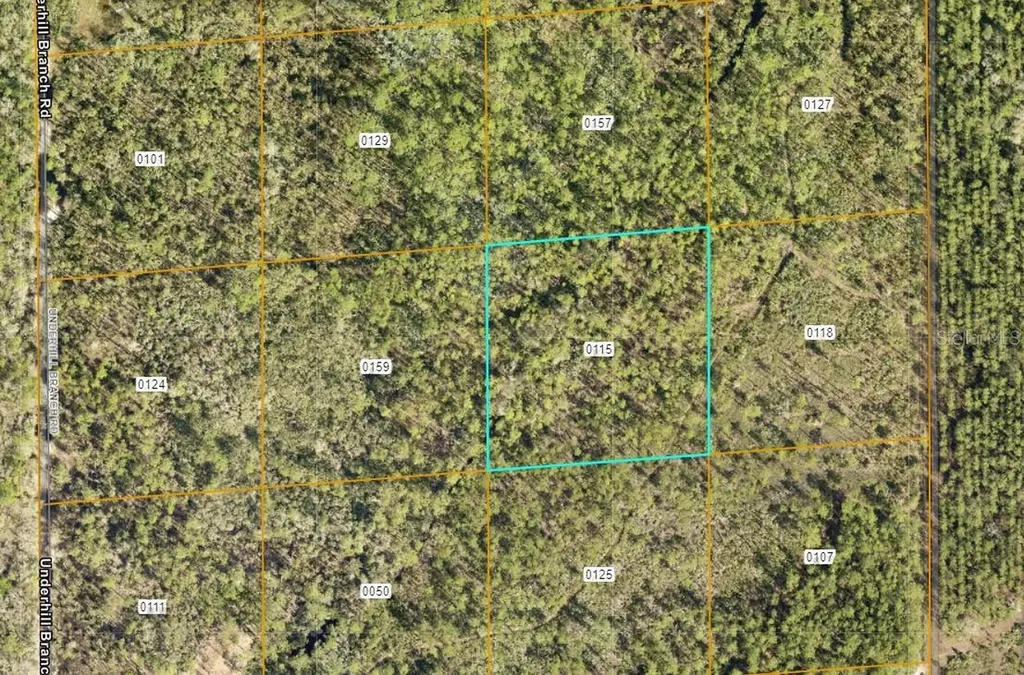 Lake Harney Road Osteen FL 32764
