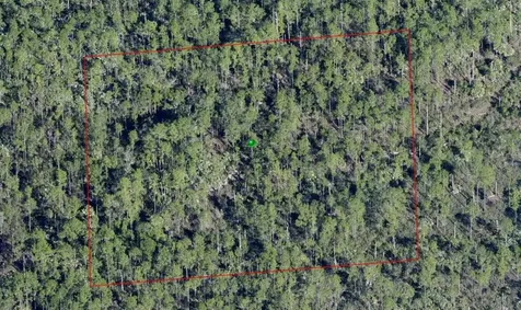 Lake Harney Road Osteen FL 32764