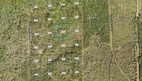 Lake Harney Road Osteen FL 32764