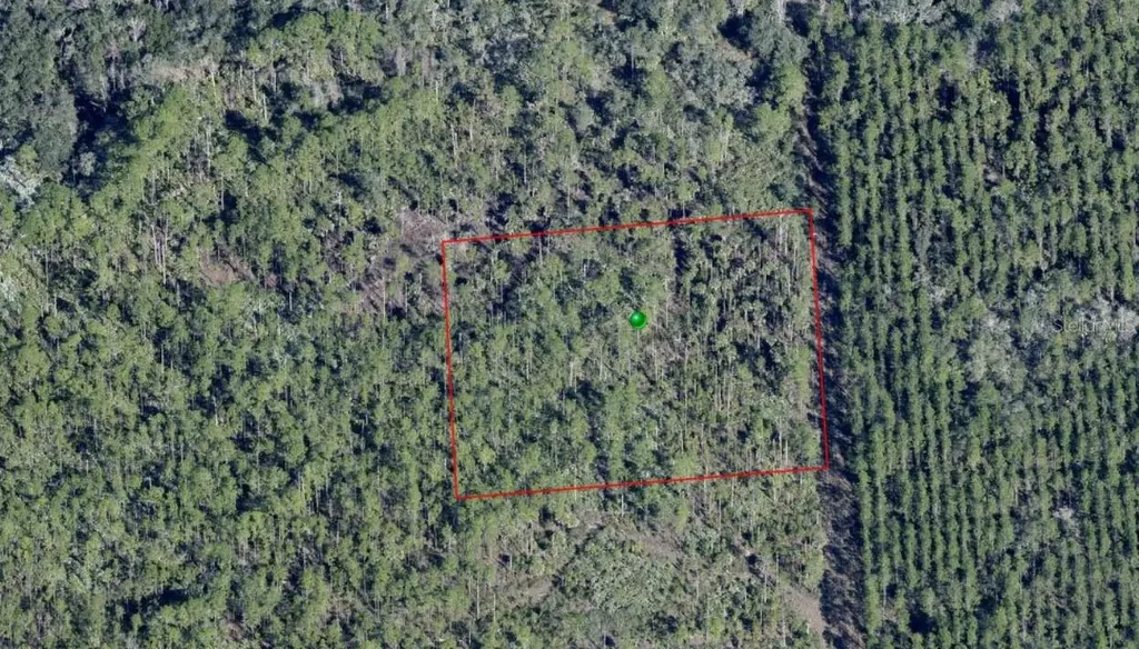 Lake Harney Road Osteen FL 32764