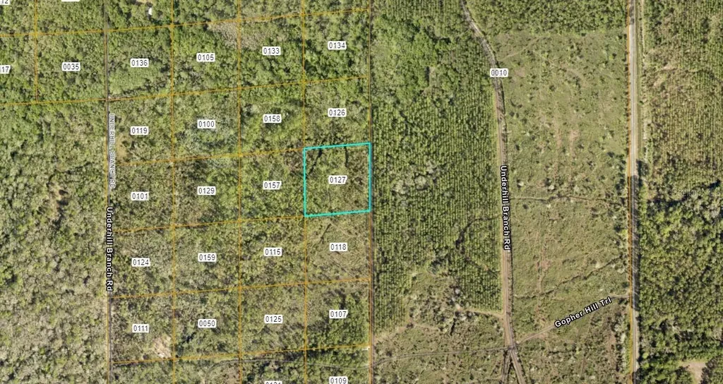 Lake Harney Road Osteen FL 32764