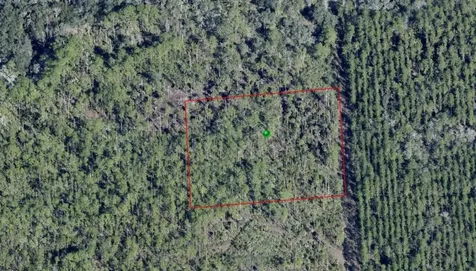 Lake Harney Road Osteen FL 32764