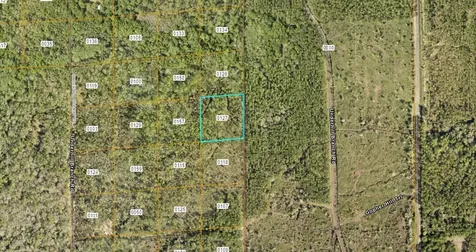 Lake Harney Road Osteen FL 32764