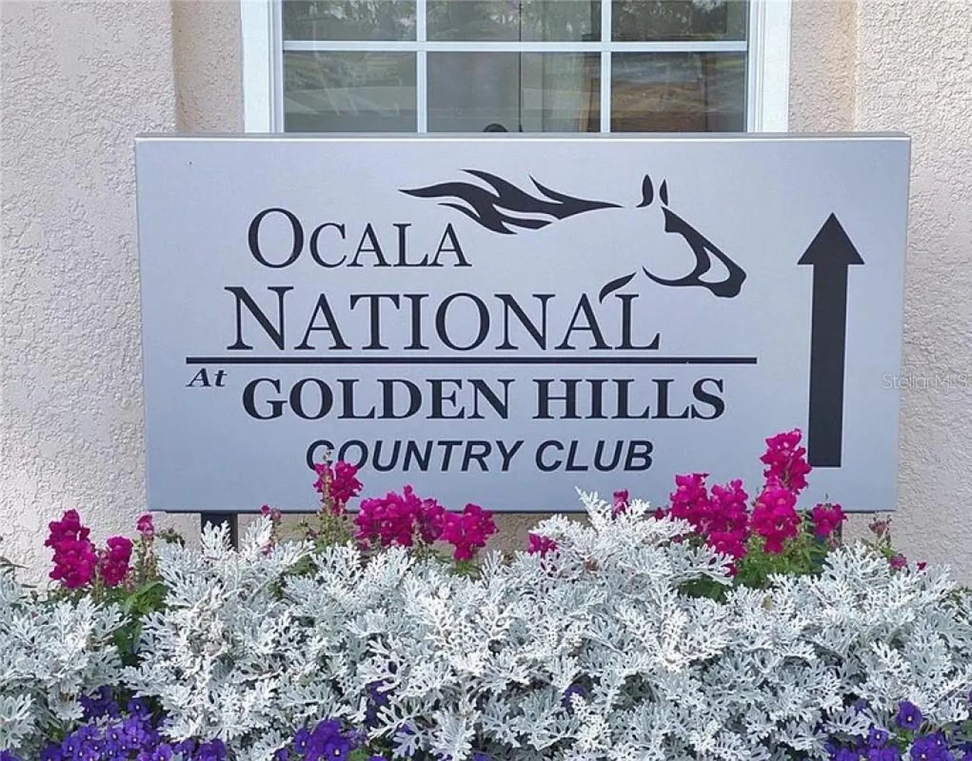 7699 NW 56th Place Ocala FL 34482