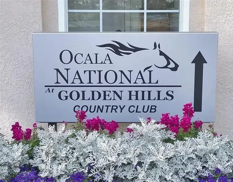 7699 NW 56th Place Ocala FL 34482