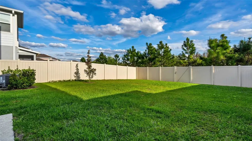 10735 Hawks Landing Drive Land O Lakes FL 34638