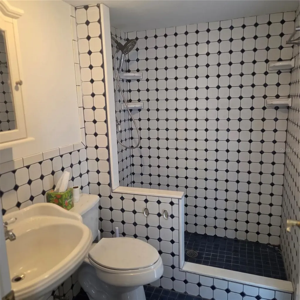 8205 Westridge Drive Tampa FL 33615