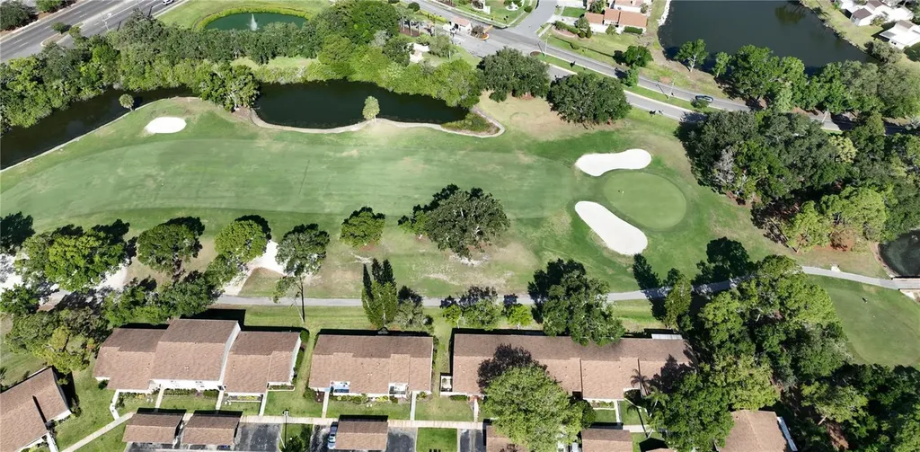 25 Tads Trail Oldsmar FL 34677