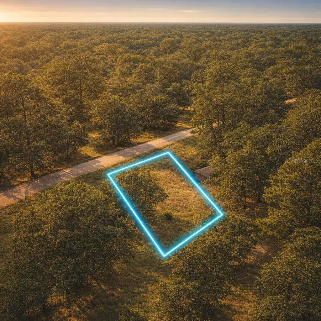 4323 Pocahontas Drive Dade City FL 33523