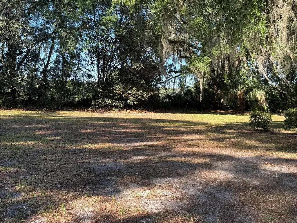9845 NW 160th Street Reddick FL 32686