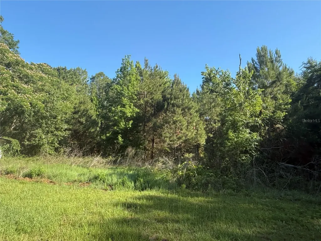 9845 NW 160th Street Reddick FL 32686