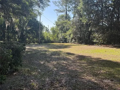 9845 NW 160th Street Reddick FL 32686