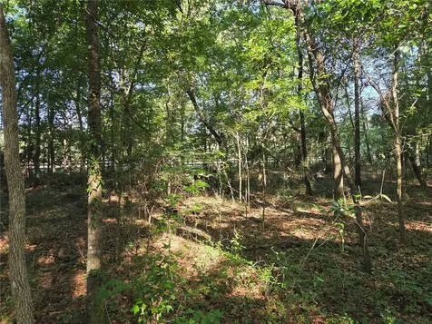 9845 NW 160th Street Reddick FL 32686