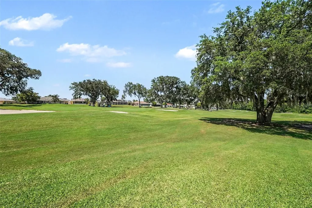 11132 Moshie Lane San Antonio FL 33576