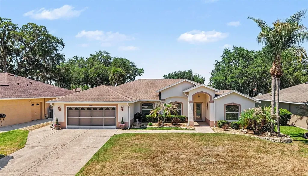 11132 Moshie Lane San Antonio FL 33576