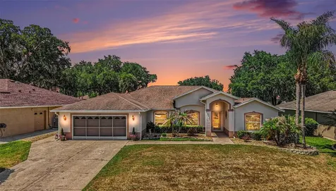 11132 Moshie Lane San Antonio FL 33576
