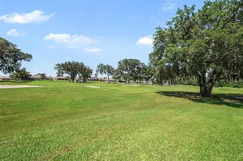 11132 Moshie Lane San Antonio FL 33576