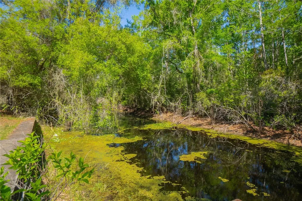 7536 S Bobcat Point Floral City FL 34436