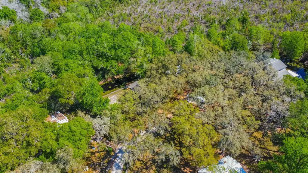 7536 S Bobcat Point Floral City FL 34436