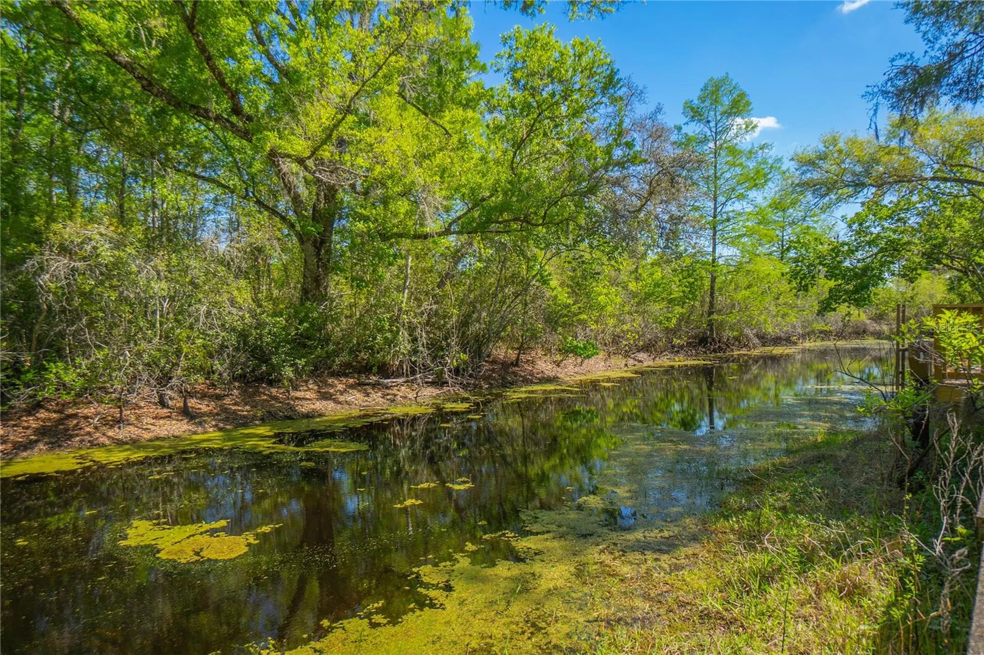 7536 S Bobcat Point Floral City FL 34436