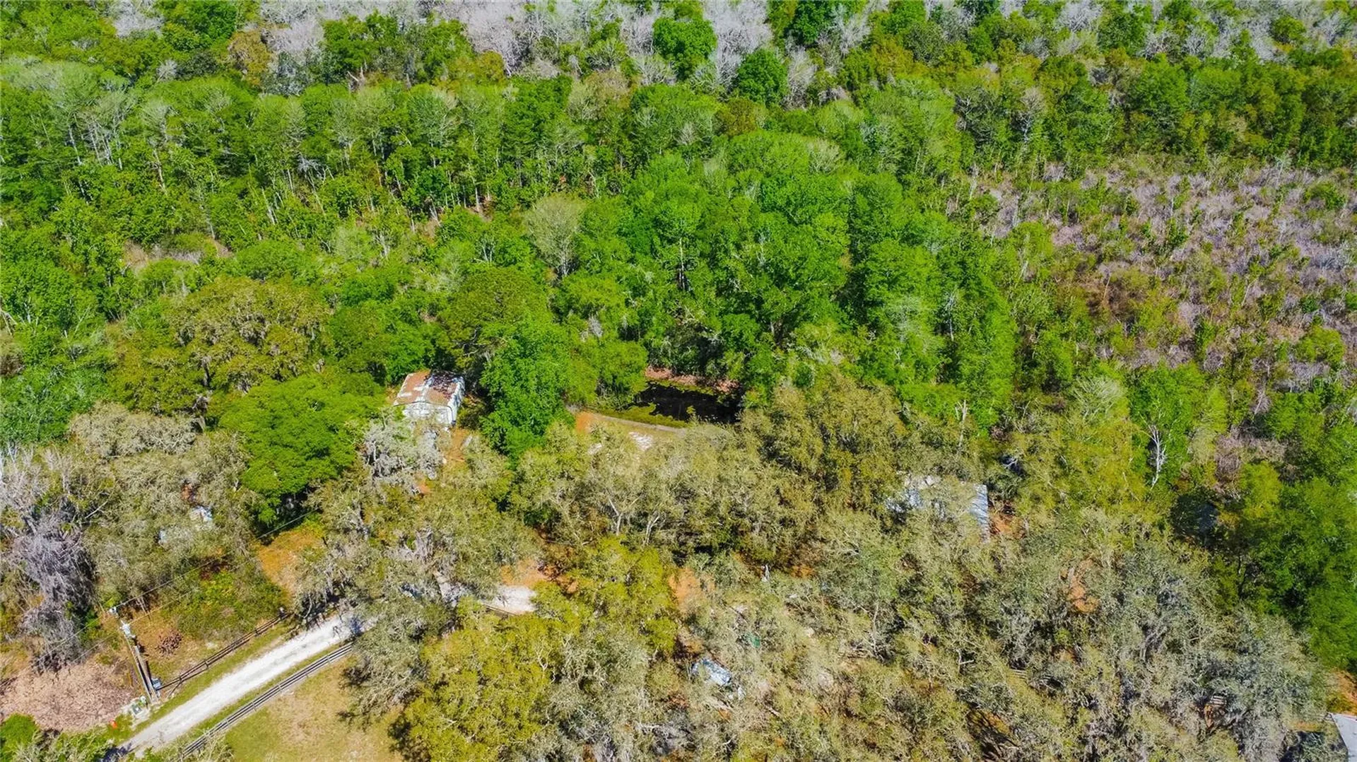 7536 S Bobcat Point Floral City FL 34436
