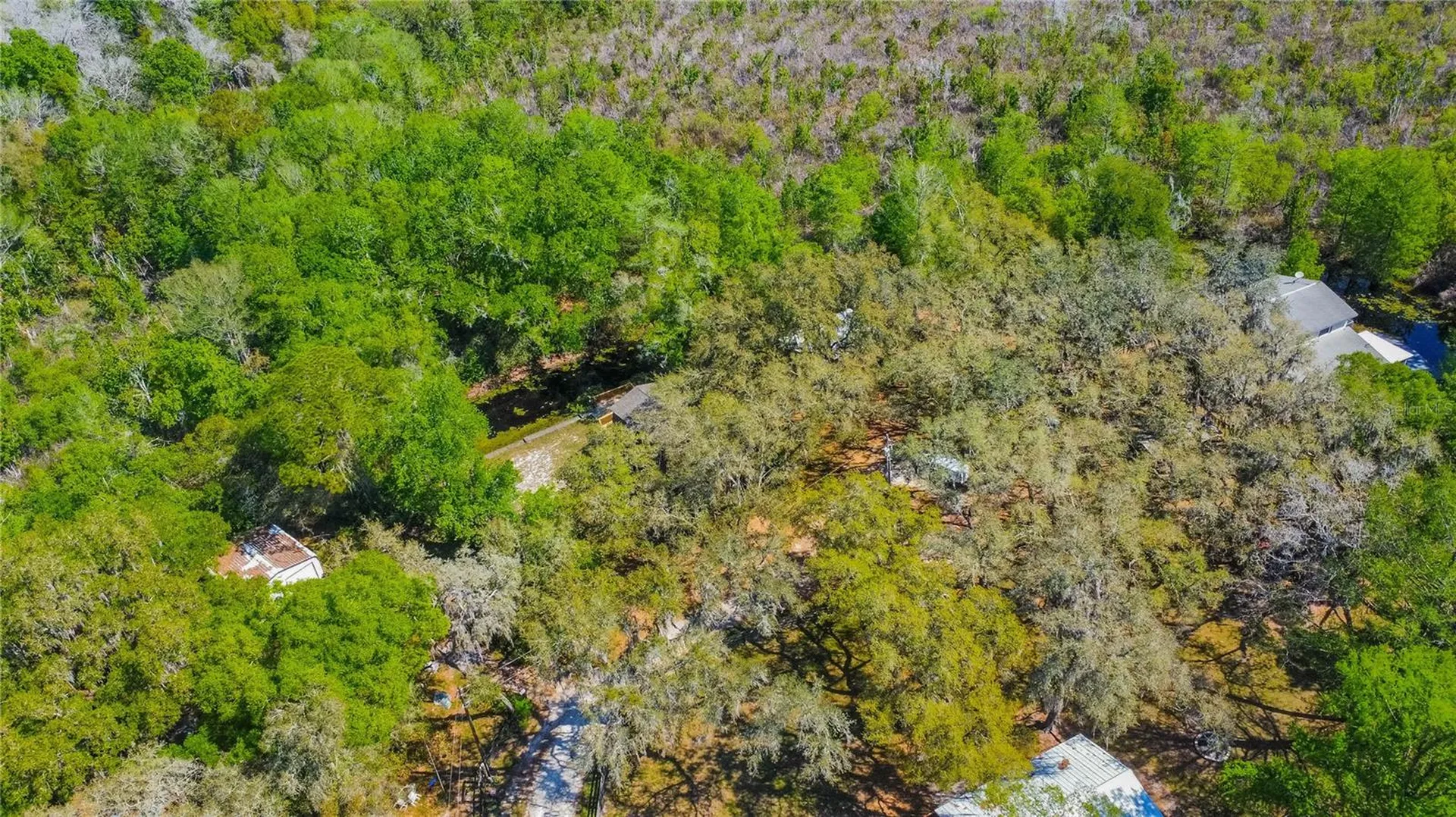 7536 S Bobcat Point Floral City FL 34436