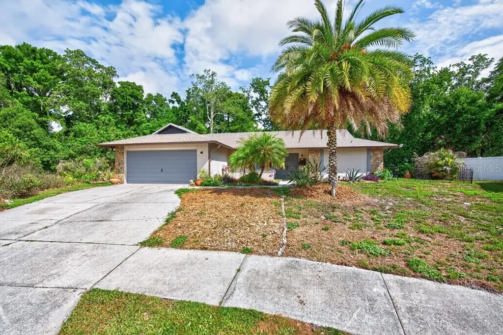 2735 Cypress Hollow Court New Port Richey FL 34655