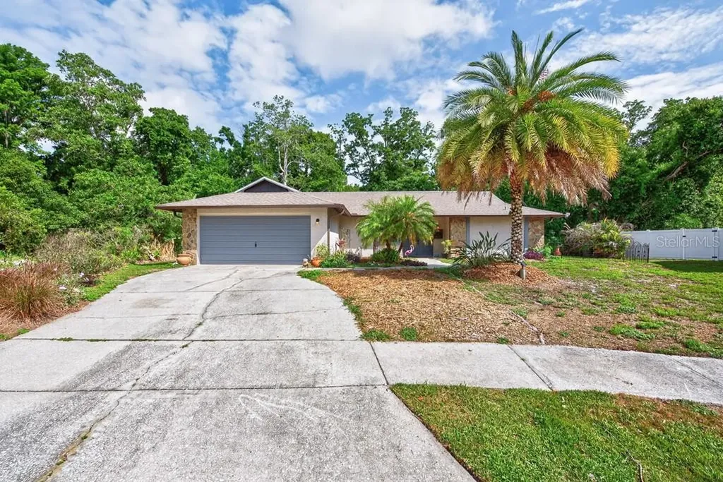 2735 Cypress Hollow Court New Port Richey FL 34655
