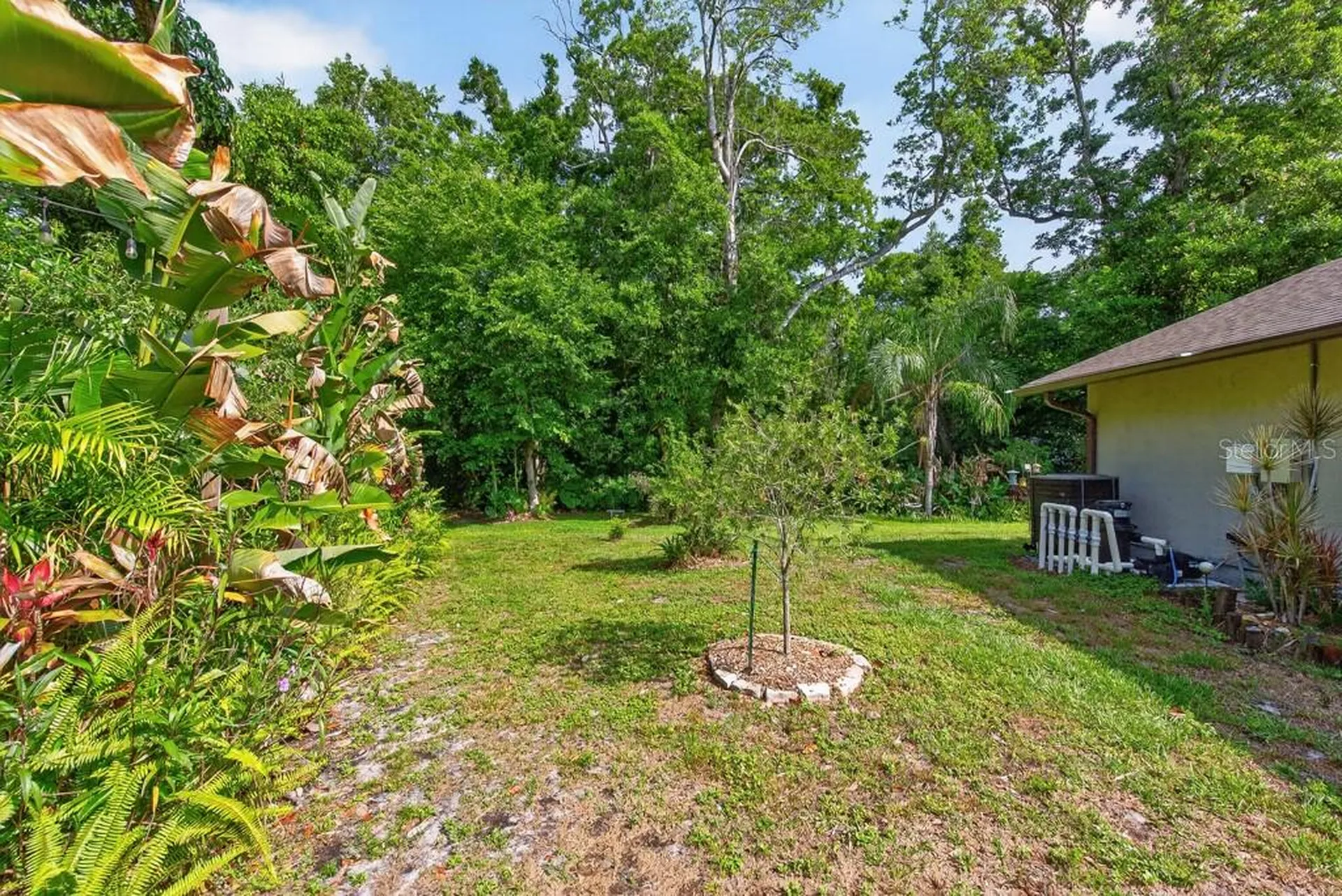 2735 Cypress Hollow Court New Port Richey FL 34655