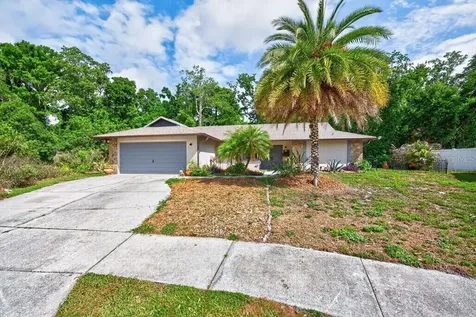 2735 Cypress Hollow Court New Port Richey FL 34655