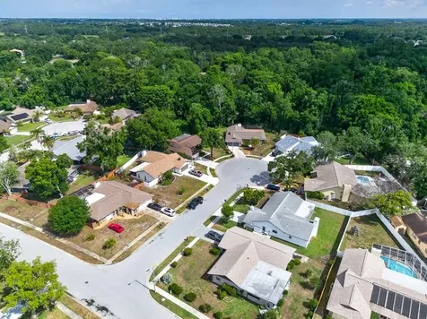 2735 Cypress Hollow Court New Port Richey FL 34655