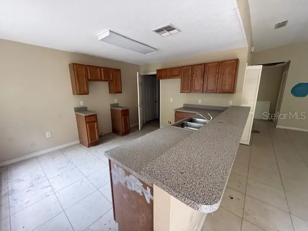 288 Mcmillon Drive Orange City FL 32763