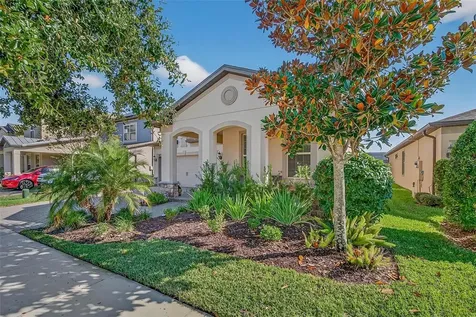 18744 Birchwood Groves Drive Lutz FL 33558