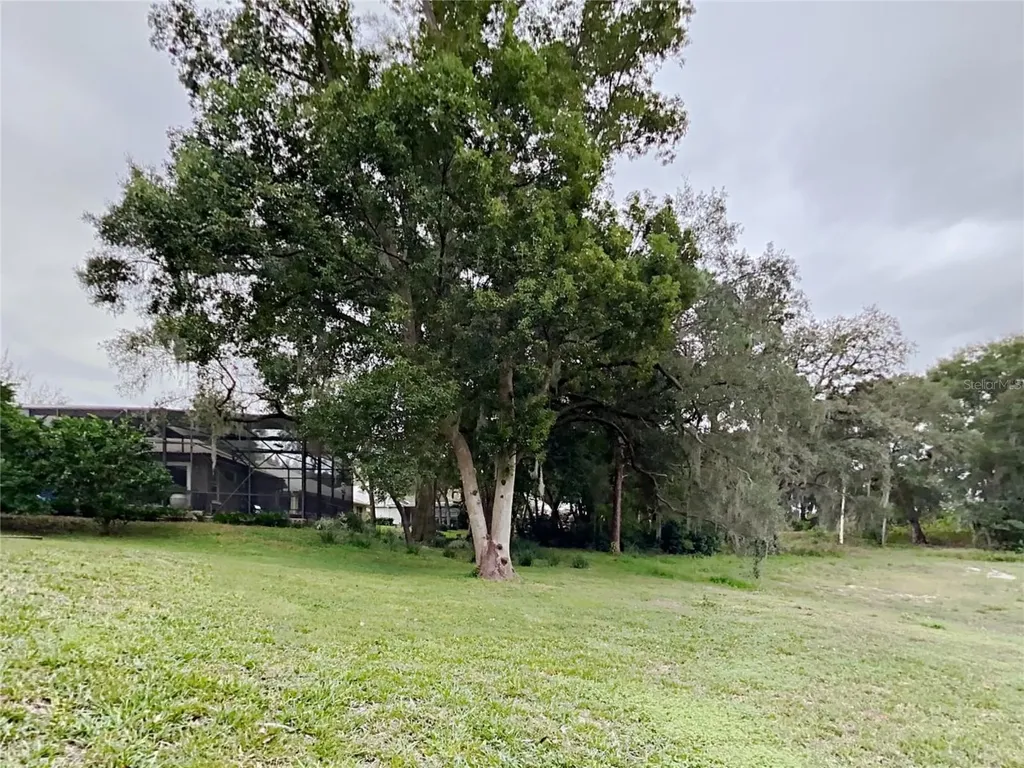 1804 Stoneywood Way Apopka FL 32712