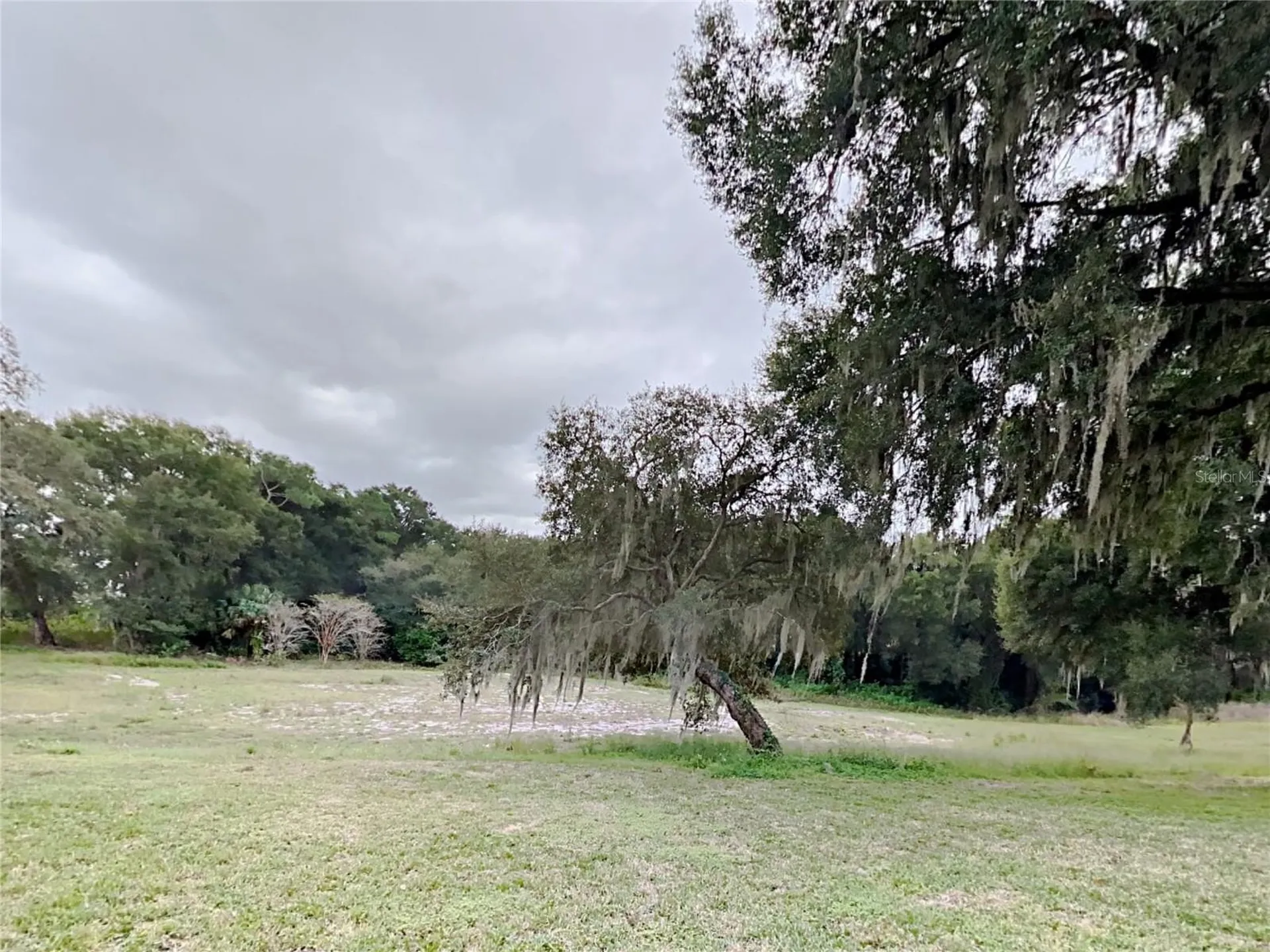 1804 Stoneywood Way Apopka FL 32712