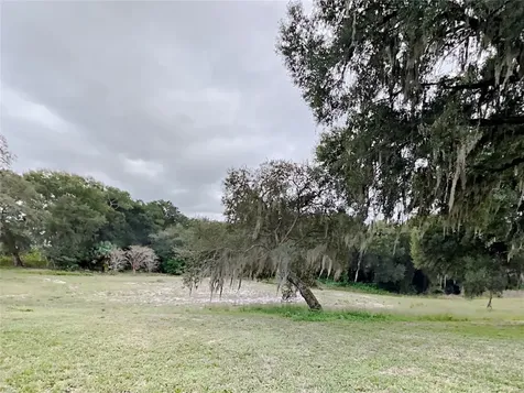 1804 Stoneywood Way Apopka FL 32712