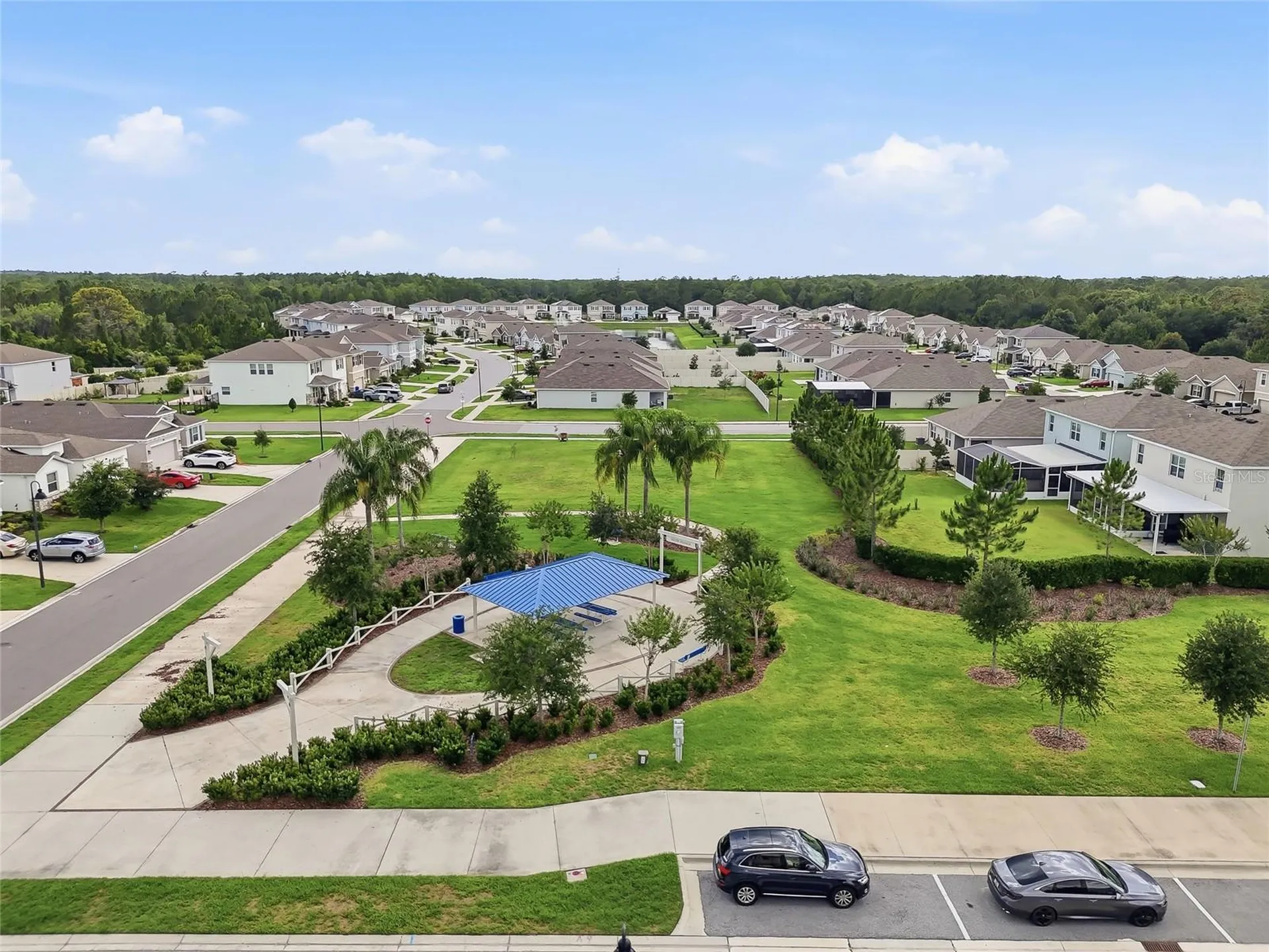 3228 Living Coral Drive Odessa FL 33556