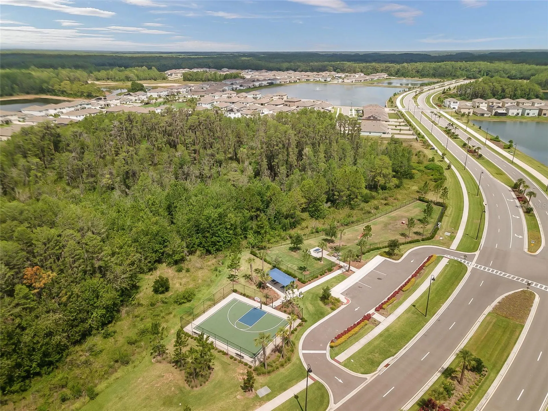 3228 Living Coral Drive Odessa FL 33556