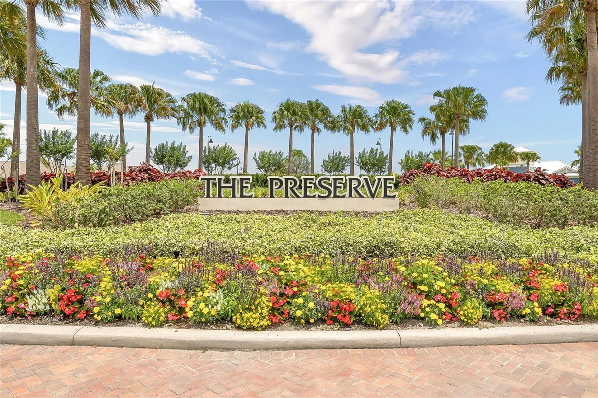 3228 Living Coral Drive Odessa FL 33556