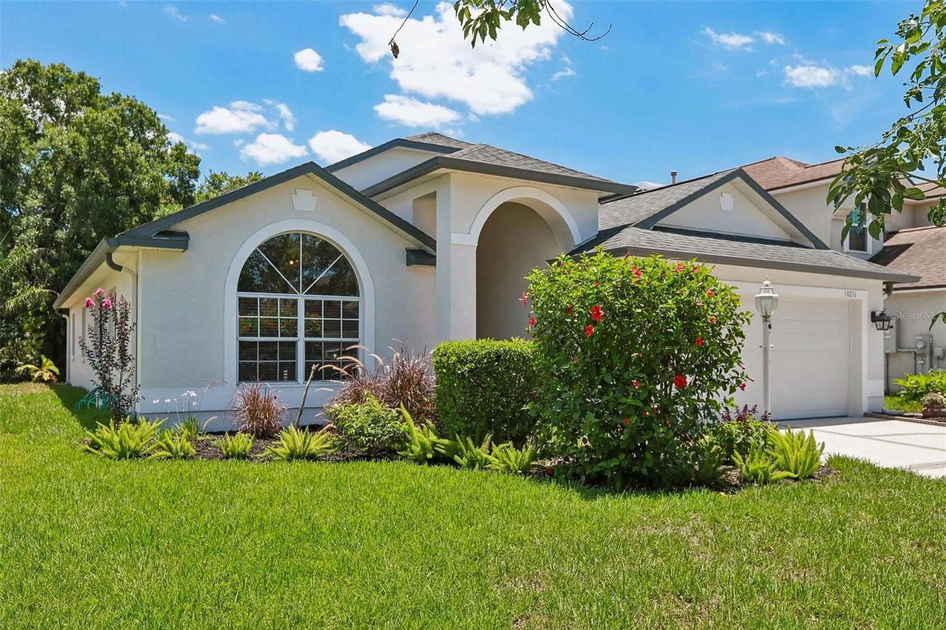 10216 Charleston Corner Road Tampa FL 33635