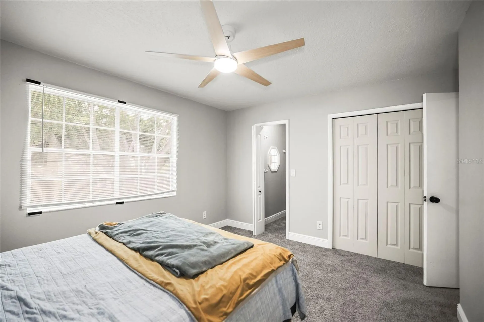 933 Hamilton Court Palm Harbor FL 34683