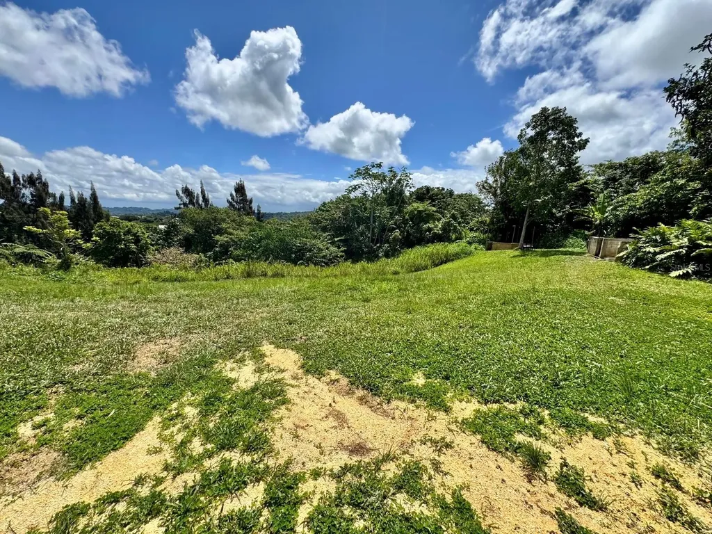 Camino Vitoriano Lares PR 00669