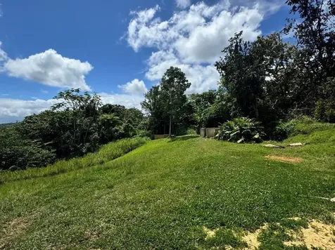 Camino Vitoriano Lares PR 00669